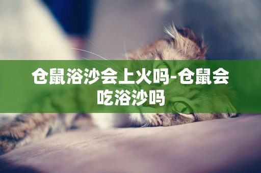 倉鼠浴沙會上火嗎-倉鼠會吃浴沙嗎