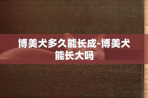 博美犬多久能長成-博美犬能長大嗎
