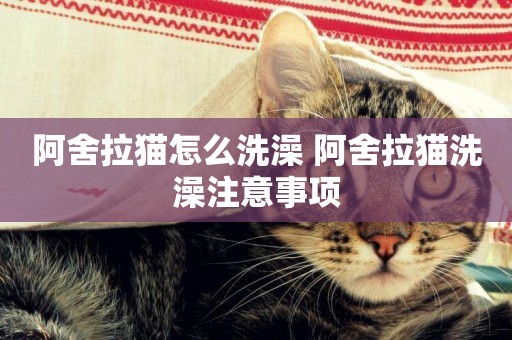 阿舍拉貓怎么洗澡 阿舍拉貓洗澡注意事項