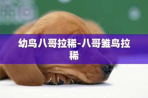 幼鳥八哥拉稀-八哥雛鳥拉稀