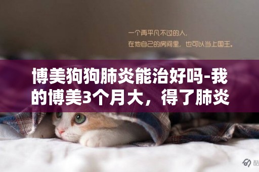 博美狗狗肺炎能治好嗎-我的博美3個月大，得了肺炎，我不知道的了肺炎之后應注意什么，今天給它輸液但是不