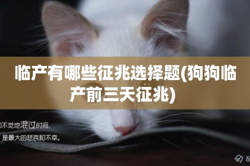 臨產有哪些征兆選擇題(狗狗臨產前三天征兆) 臨產有哪些征兆選擇題(狗狗臨產前三天征兆)