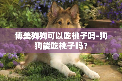 博美狗狗可以吃桃子嗎-狗狗能吃桃子嗎？