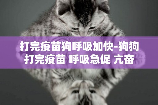 打完疫苗狗呼吸加快-狗狗打完疫苗 呼吸急促 亢奮