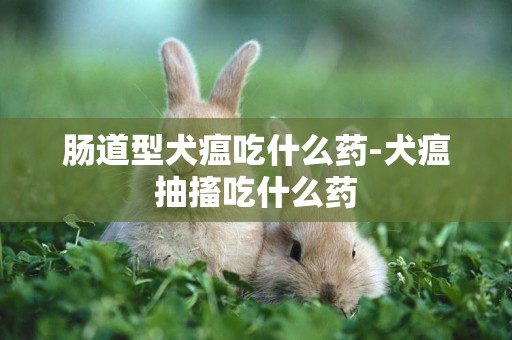 腸道型犬瘟吃什么藥-犬瘟抽搐吃什么藥