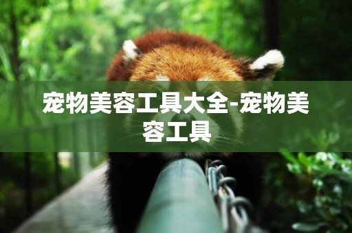 寵物美容工具大全-寵物美容工具
