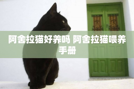 阿舍拉貓好養嗎 阿舍拉貓喂養手冊