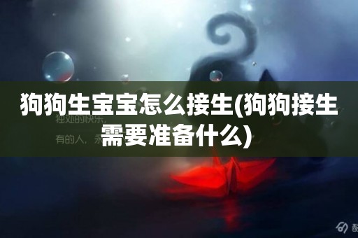 狗狗生寶寶怎么接生(狗狗接生需要準備什么) 