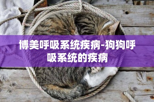 博美呼吸系統疾病-狗狗呼吸系統的疾病