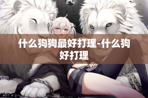 什么狗狗最好打理-什么狗好打理