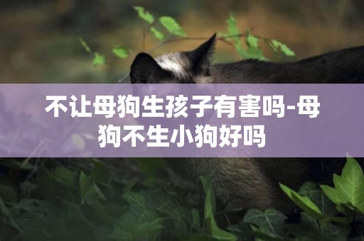 不讓母狗生孩子有害嗎-母狗不生小狗好嗎