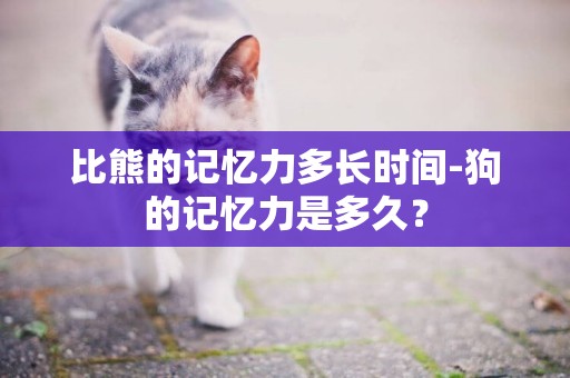 比熊的記憶力多長時間-狗的記憶力是多久？