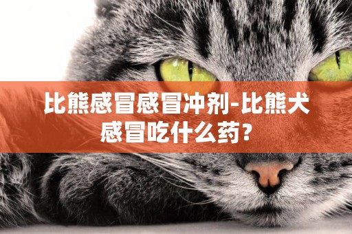 比熊感冒感冒沖劑-比熊犬感冒吃什么藥？