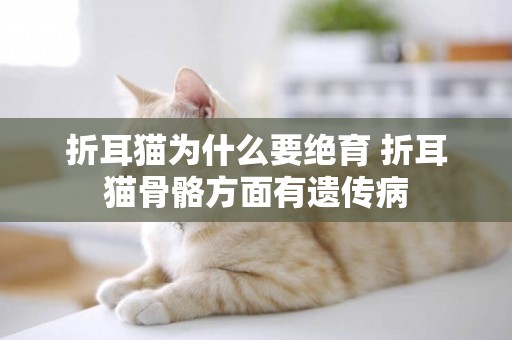 折耳貓為什么要絕育 折耳貓骨骼方面有遺傳病