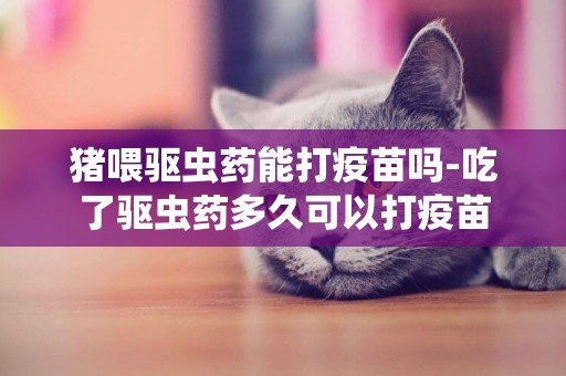豬喂驅蟲藥能打疫苗嗎-吃了驅蟲藥多久可以打疫苗