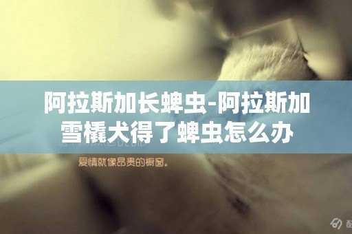 阿拉斯加長蜱蟲-阿拉斯加雪橇犬得了蜱蟲怎么辦