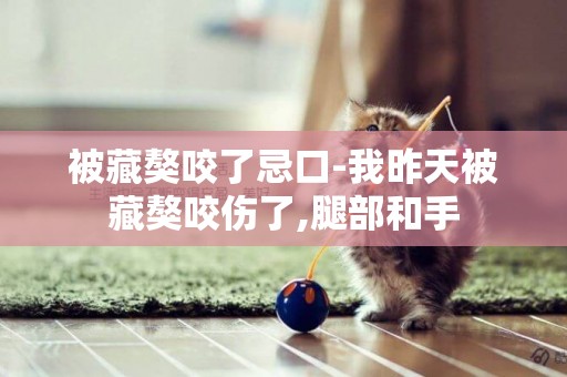 被藏獒咬了忌口-我昨天被藏獒咬傷了,腿部和手