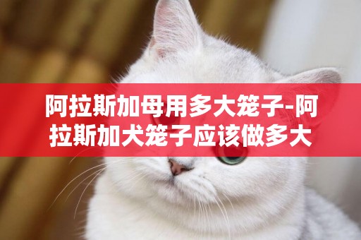 阿拉斯加母用多大籠子-阿拉斯加犬籠子應該做多大