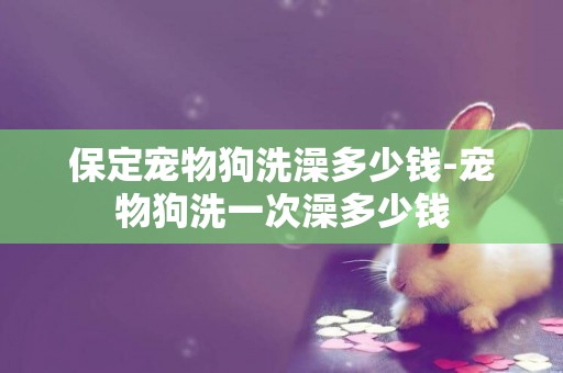 保定寵物狗洗澡多少錢-寵物狗洗一次澡多少錢