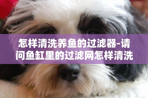 怎樣清洗養魚的過濾器-請問魚缸里的過濾網怎樣清洗