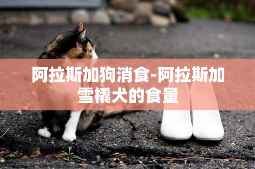 阿拉斯加狗消食-阿拉斯加雪橇犬的食量