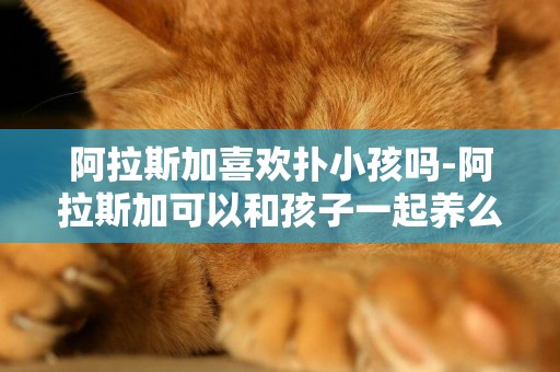 阿拉斯加喜歡撲小孩嗎-阿拉斯加可以和孩子一起養么