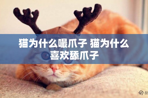 貓為什么嘬爪子 貓為什么喜歡舔爪子