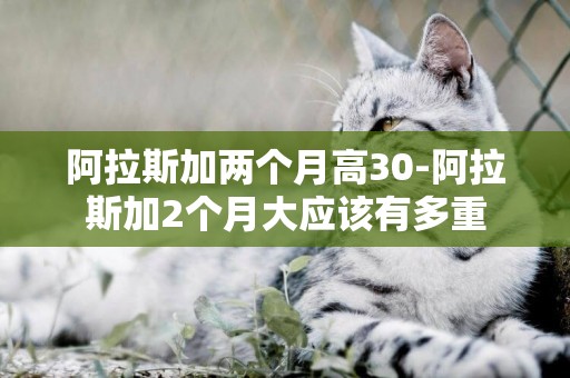 阿拉斯加兩個月高30-阿拉斯加2個月大應該有多重