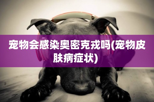 寵物會感染奧密克戎嗎(寵物皮膚病癥狀) 