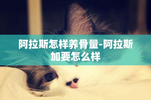 阿拉斯怎樣養骨量-阿拉斯加要怎么樣