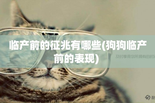 臨產前的征兆有哪些(狗狗臨產前的表現) 