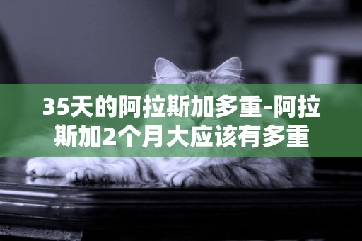 35天的阿拉斯加多重-阿拉斯加2個月大應該有多重