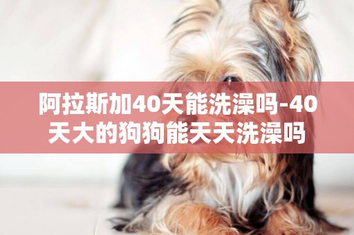 阿拉斯加40天能洗澡嗎-40天大的狗狗能天天洗澡嗎