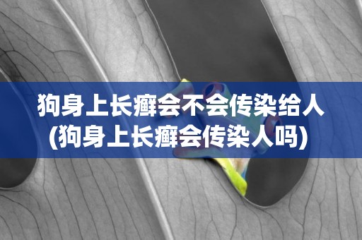 狗身上長癬會不會傳染給人(狗身上長癬會傳染人嗎) 