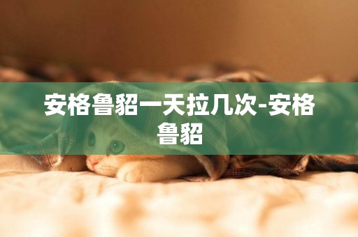 安格魯貂一天拉幾次-安格魯貂