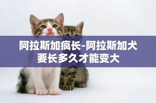 阿拉斯加瘋長-阿拉斯加犬要長多久才能變大