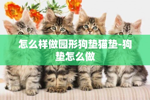 怎么樣做園形狗墊貓墊-狗墊怎么做