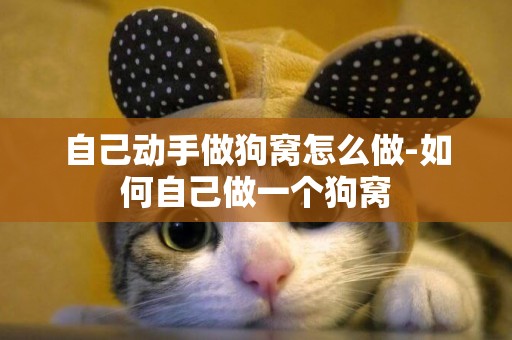 自己動手做狗窩怎么做-如何自己做一個狗窩