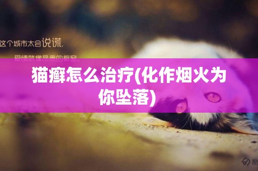 貓癬怎么治療(化作煙火為你墜落) 