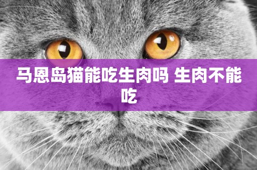 馬恩島貓能吃生肉嗎 生肉不能吃
