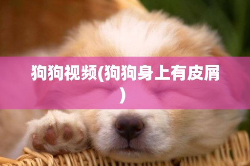 狗狗視頻(狗狗身上有皮屑) 