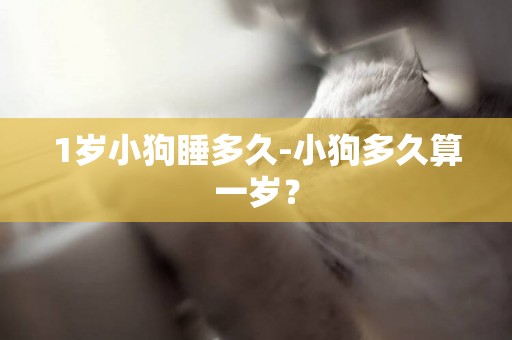 1歲小狗睡多久-小狗多久算一歲？