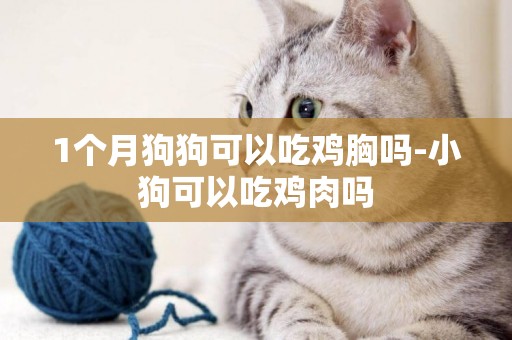 1個月狗狗可以吃雞胸嗎-小狗可以吃雞肉嗎