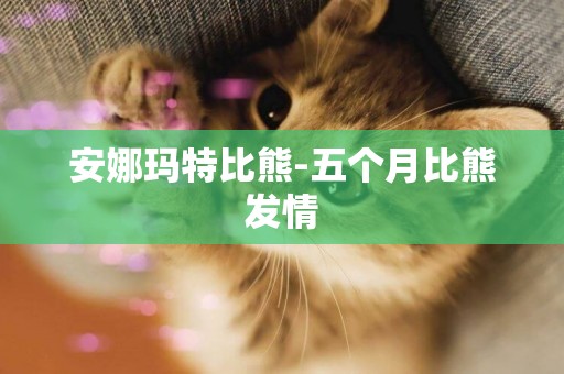 安娜瑪特比熊-五個月比熊發情