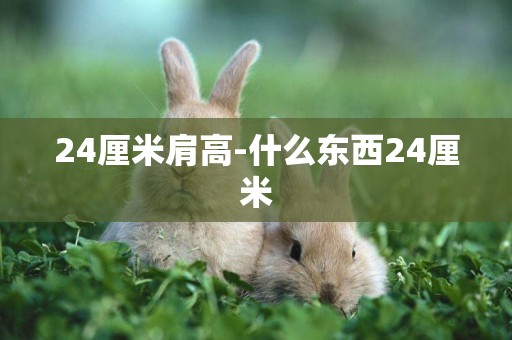 24厘米肩高-什么東西24厘米