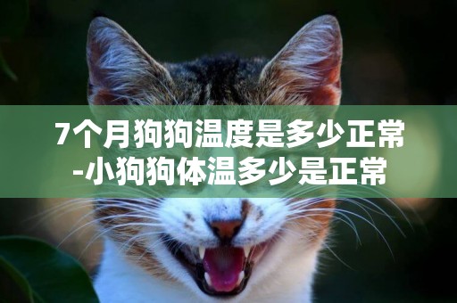 7個月狗狗溫度是多少正常-小狗狗體溫多少是正常
