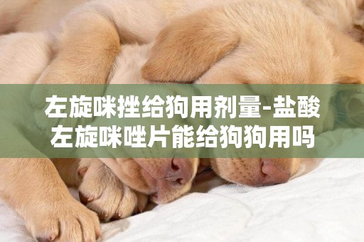 左旋咪挫給狗用劑量-鹽酸左旋咪唑片能給狗狗用嗎