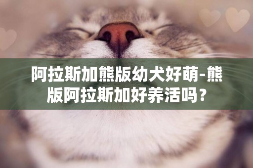 阿拉斯加熊版幼犬好萌-熊版阿拉斯加好養活嗎？