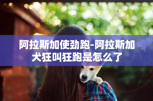阿拉斯加使勁跑-阿拉斯加犬狂叫狂跑是怎么了