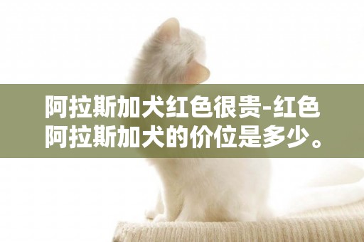 阿拉斯加犬紅色很貴-紅色阿拉斯加犬的價位是多少。